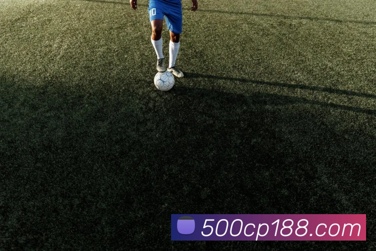 500cp平台生态图